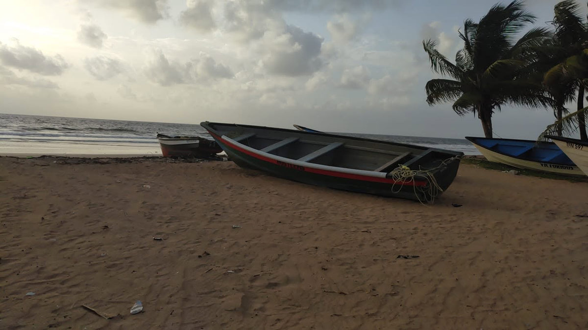 Safiya's Beach House